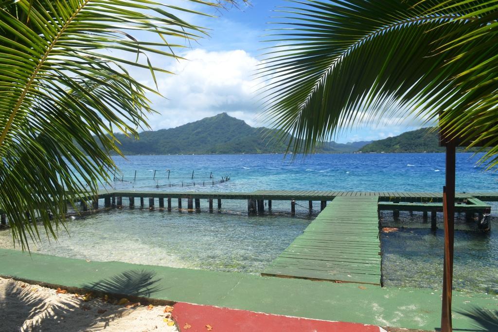 Pension Atger Vaitoare  Exterior photo